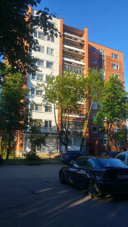 Gina'S Apartment Partizanu G Каунас Экстерьер фото