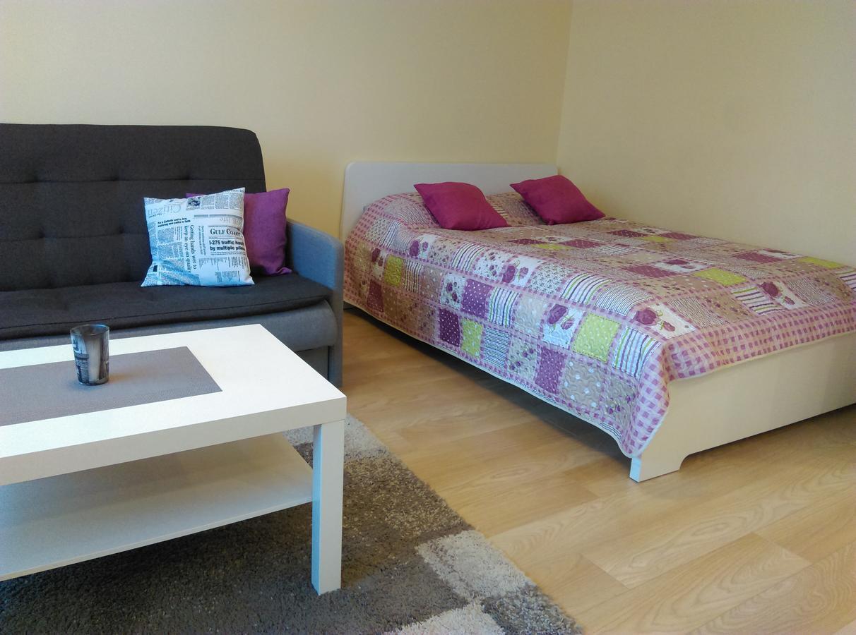 Gina'S Apartment Partizanu G Каунас Экстерьер фото