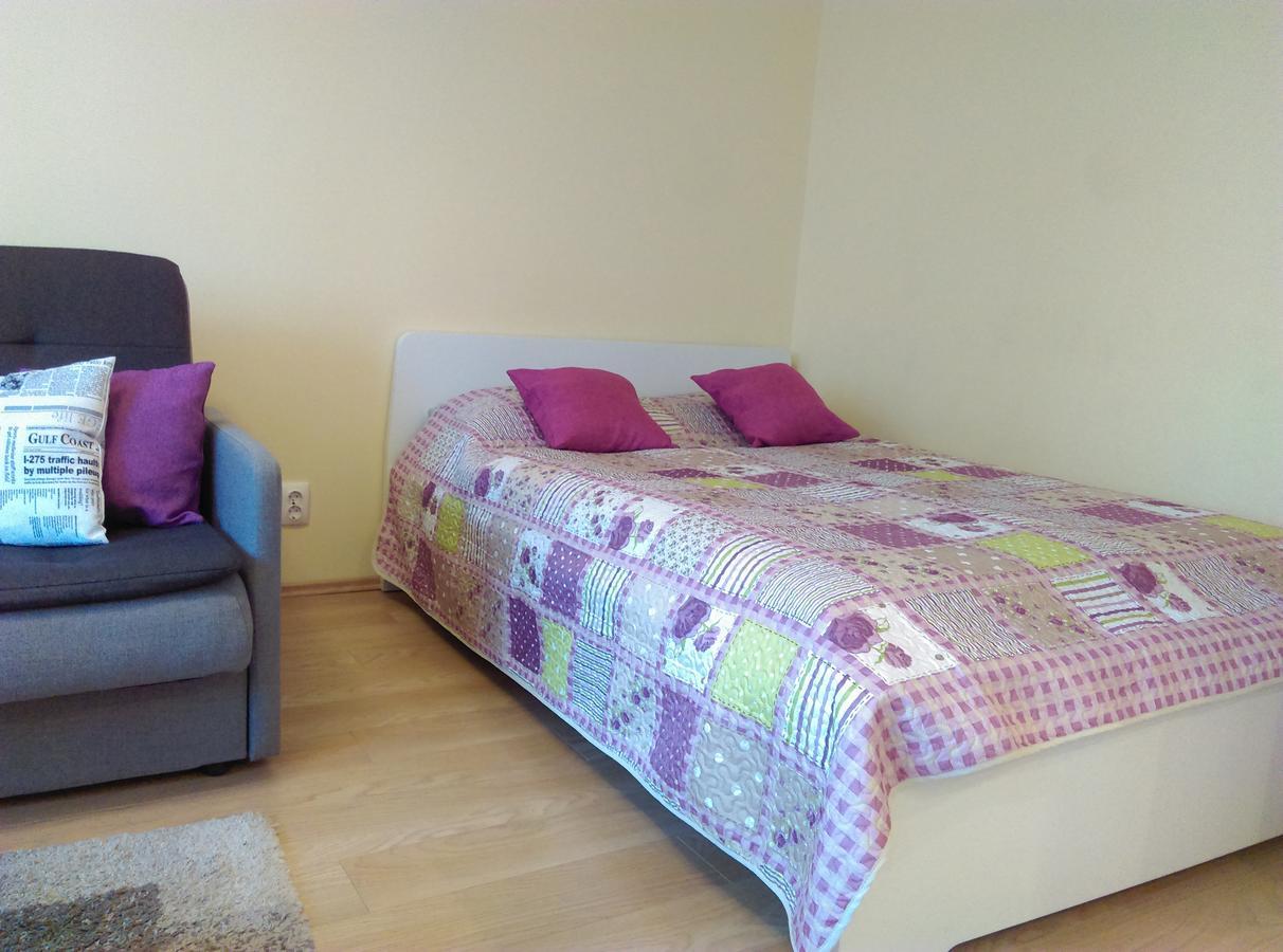Gina'S Apartment Partizanu G Каунас Экстерьер фото